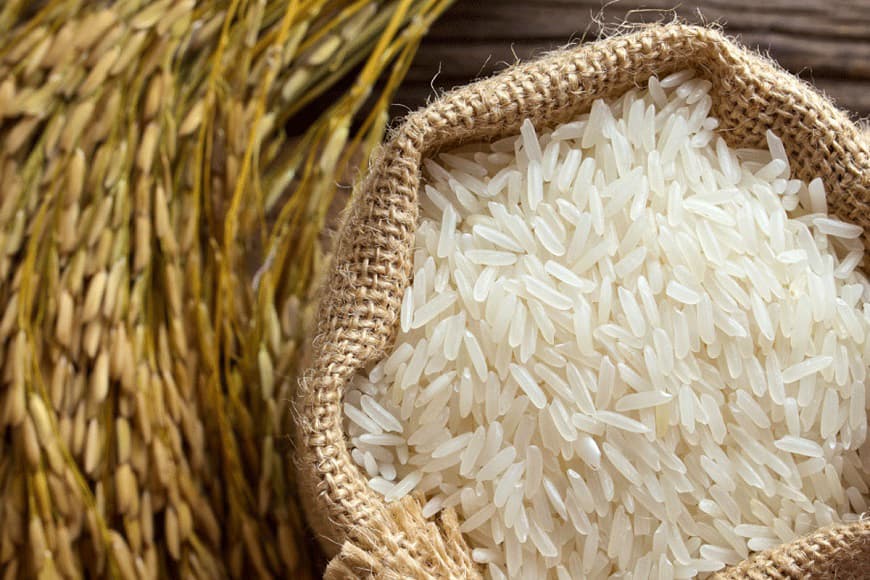 برنج مرغوب در چالوش