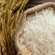 برنج شمال در اردبیل
