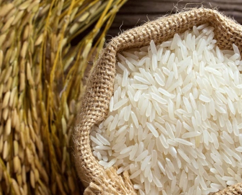 برنج شمال در سمنان