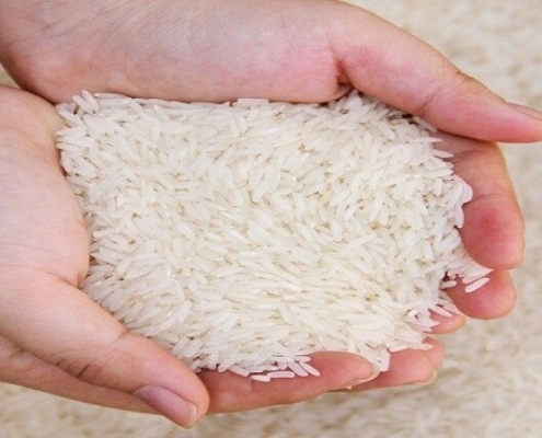 برنج شمال در بیرجند