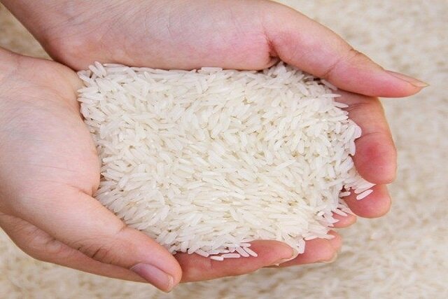 برنج شمال در بیرجند