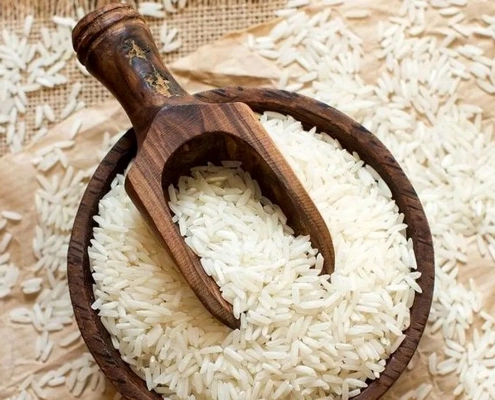 برنج مرغوب در جویبار