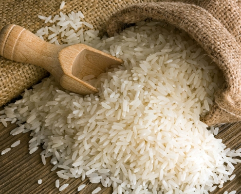 برنج شمال در گیلان