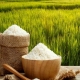 شفروش برنج در جویبار